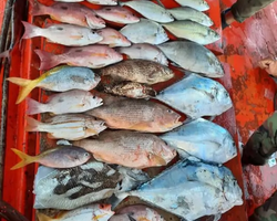 Real Fishing excursion 7 Countries from Pattaya in Thailand photo 71