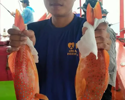 Real Fishing excursion 7 Countries from Pattaya in Thailand photo 713