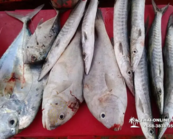 Real Fishing excursion 7 Countries from Pattaya in Thailand photo 232