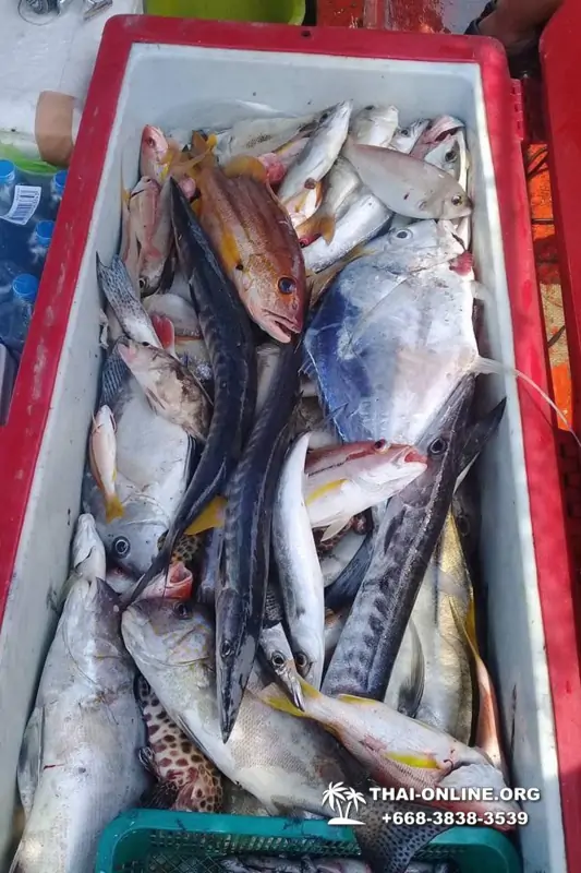 Real Fishing excursion 7 Countries from Pattaya in Thailand photo 148