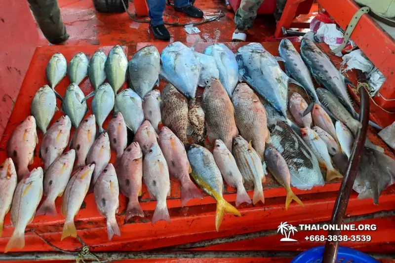 Real Fishing excursion 7 Countries from Pattaya in Thailand photo 54