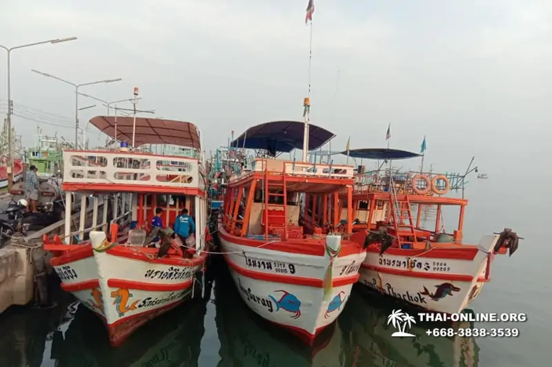 Thailand Pattaya Big Sea Fishing - photo 24