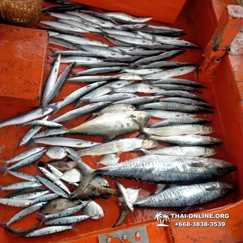 Real Fishing excursion 7 Countries from Pattaya in Thailand photo 14