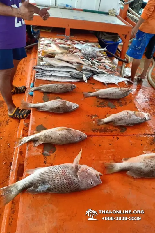 Real Fishing excursion 7 Countries from Pattaya in Thailand photo 115
