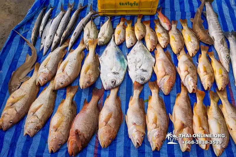 Real Fishing excursion 7 Countries from Pattaya in Thailand photo 2