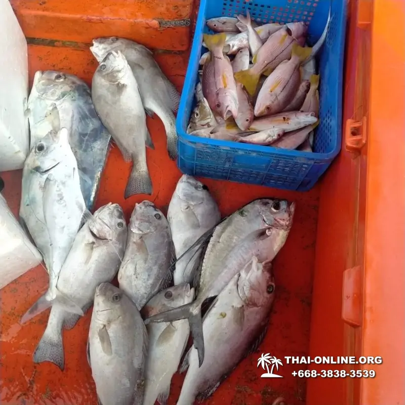 Real Fishing excursion 7 Countries from Pattaya in Thailand photo 151