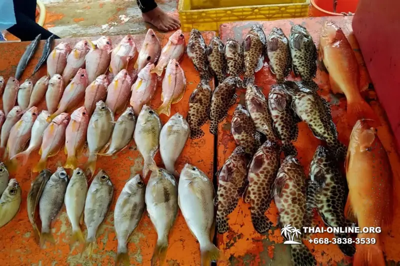 Real Fishing excursion 7 Countries from Pattaya in Thailand photo 36