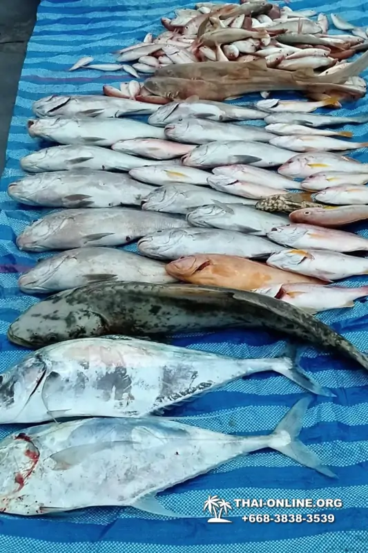 Real Fishing excursion 7 Countries from Pattaya in Thailand photo 27