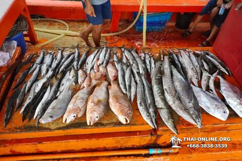 Real Fishing excursion 7 Countries from Pattaya in Thailand photo 34