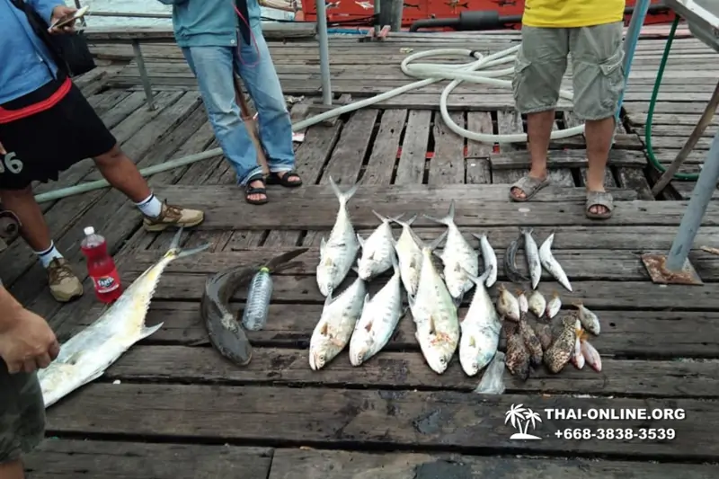 Real Fishing excursion 7 Countries from Pattaya in Thailand photo 145