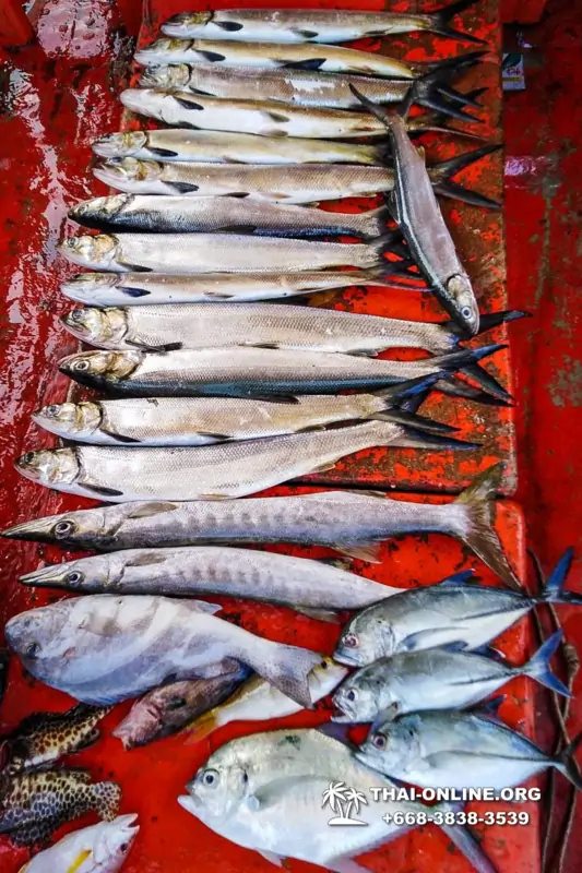Real Fishing excursion 7 Countries from Pattaya in Thailand photo 16