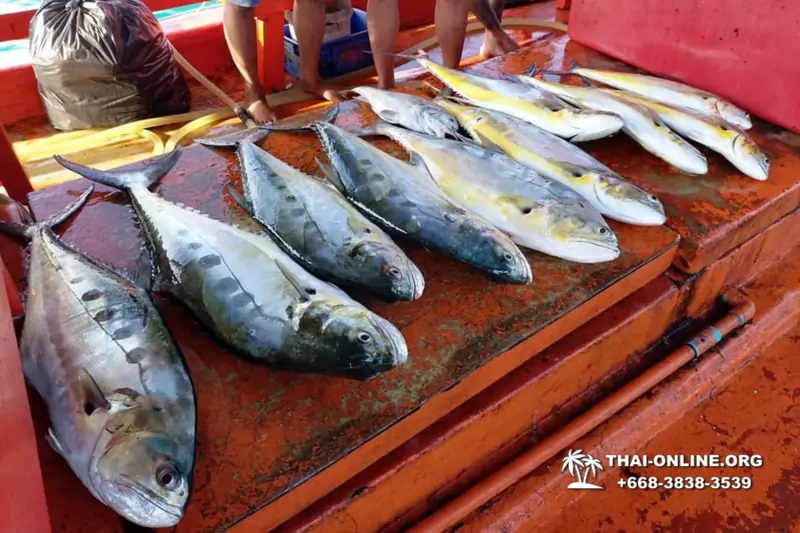 Real Fishing excursion 7 Countries from Pattaya in Thailand photo 113