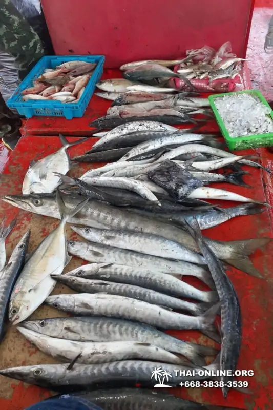 Real Fishing excursion 7 Countries from Pattaya in Thailand photo 105