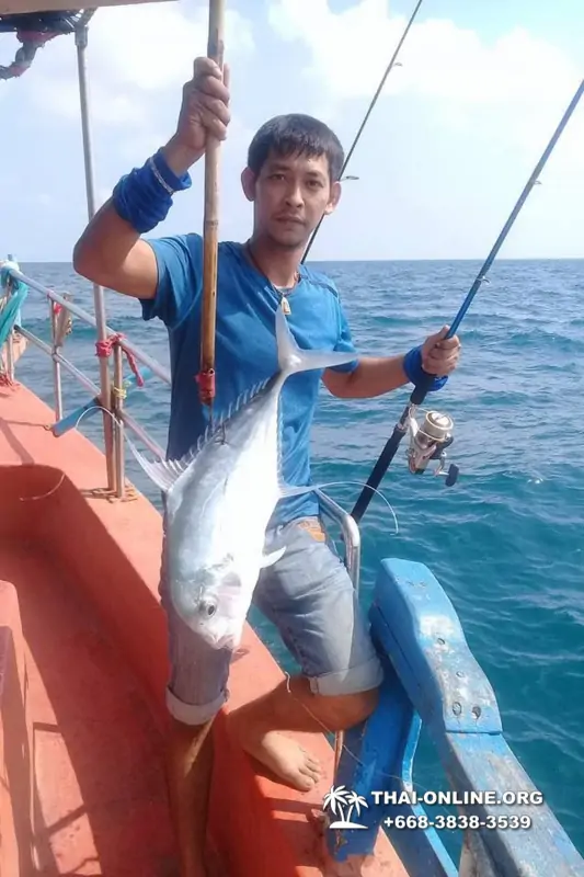 Thailand Pattaya Big Sea Fishing - photo 17