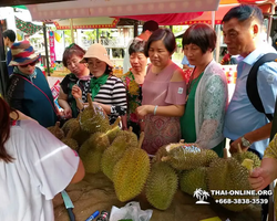 Pattaya Floating Market tour Seven Countries travel agency - photo 952