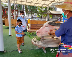 Pattaya Floating Market tour Seven Countries travel agency - photo 473