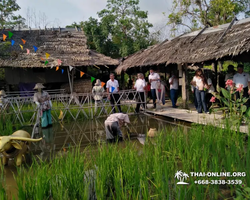 Pattaya Floating Market tour Seven Countries travel agency - photo 427