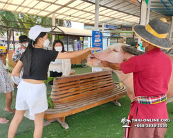 Pattaya Floating Market tour Seven Countries travel agency - photo 852