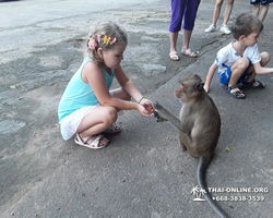 Koh Chang Paradise Hill Hotel tour 7 Countries Pattaya photo 302