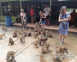 Koh Chang Paradise Hill Hotel tour 7 Countries Pattaya photo 676