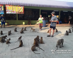 Koh Chang Paradise Hill Hotel tour 7 Countries Pattaya photo 684