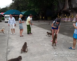 Koh Chang Paradise Hill Hotel tour 7 Countries Pattaya photo 625