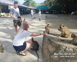 Koh Chang Paradise Hill Hotel tour 7 Countries Pattaya photo 883