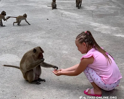 Koh Chang Paradise Hill Hotel tour 7 Countries Pattaya photo 212