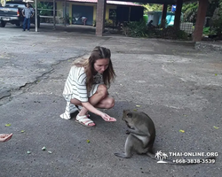 Koh Chang Paradise Hill Hotel tour 7 Countries Pattaya photo 333