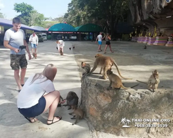 Koh Chang Paradise Hill Hotel tour 7 Countries Pattaya photo 812