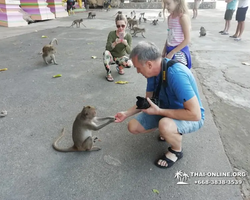 Koh Chang Paradise Hill Hotel tour 7 Countries Pattaya photo 823