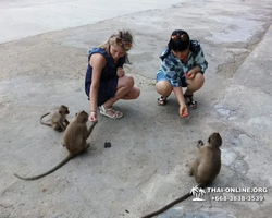 Koh Chang Paradise Hill Hotel tour 7 Countries Pattaya photo 945