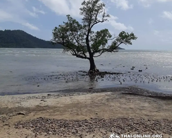 Koh Chang Paradise Hill Hotel tour 7 Countries Pattaya photo 214