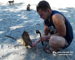 Koh Chang Paradise Hill Hotel tour 7 Countries Pattaya photo 185