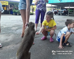 Koh Chang Paradise Hill Hotel tour 7 Countries Pattaya photo 295