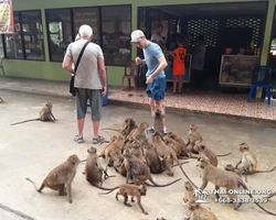 Koh Chang Paradise Hill Hotel tour 7 Countries Pattaya photo 792