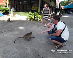 Koh Chang Paradise Hill Hotel tour 7 Countries Pattaya photo 677