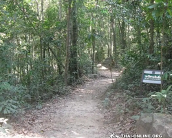 Koh Chang Paradise Hill Hotel tour 7 Countries Pattaya photo 160