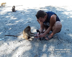 Koh Chang Paradise Hill Hotel tour 7 Countries Pattaya photo 150