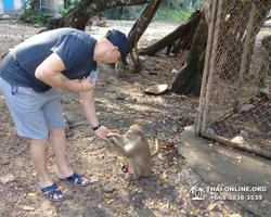 Koh Chang Paradise Hill Hotel tour 7 Countries Pattaya photo 197