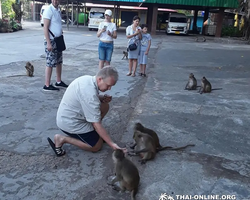 Koh Chang Paradise Hill Hotel tour 7 Countries Pattaya photo 242