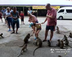 Koh Chang Paradise Hill Hotel tour 7 Countries Pattaya photo 831