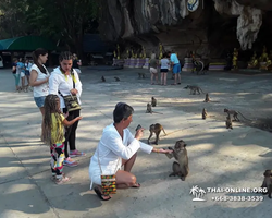 Koh Chang Paradise Hill Hotel tour 7 Countries Pattaya photo 841