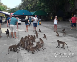 Koh Chang Paradise Hill Hotel tour 7 Countries Pattaya photo 695