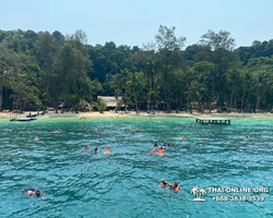 Koh Chang Paradise Hill Hotel tour 7 Countries Pattaya photo 245