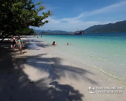 Koh Chang Paradise Hill Hotel tour 7 Countries Pattaya photo 1211