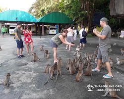 Koh Chang Paradise Hill Hotel tour 7 Countries Pattaya photo 303