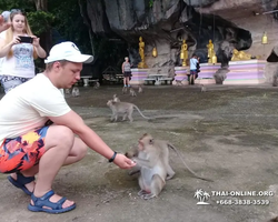 Koh Chang Paradise Hill Hotel tour 7 Countries Pattaya photo 702