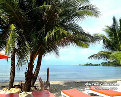 Koh Chang Paradise Hill Hotel tour 7 Countries Pattaya photo 171