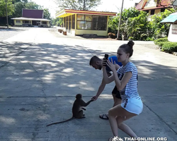 Koh Chang Paradise Hill Hotel tour 7 Countries Pattaya photo 254